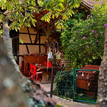 Entre & Campagne Semesterbostad Plobsheim