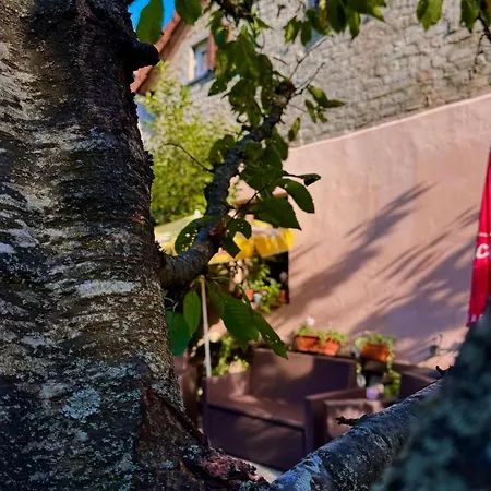 Semesterbostad Entre & Campagne *